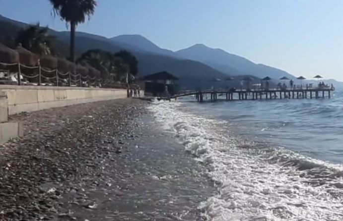 Ada kıyılarında orman kanunları!