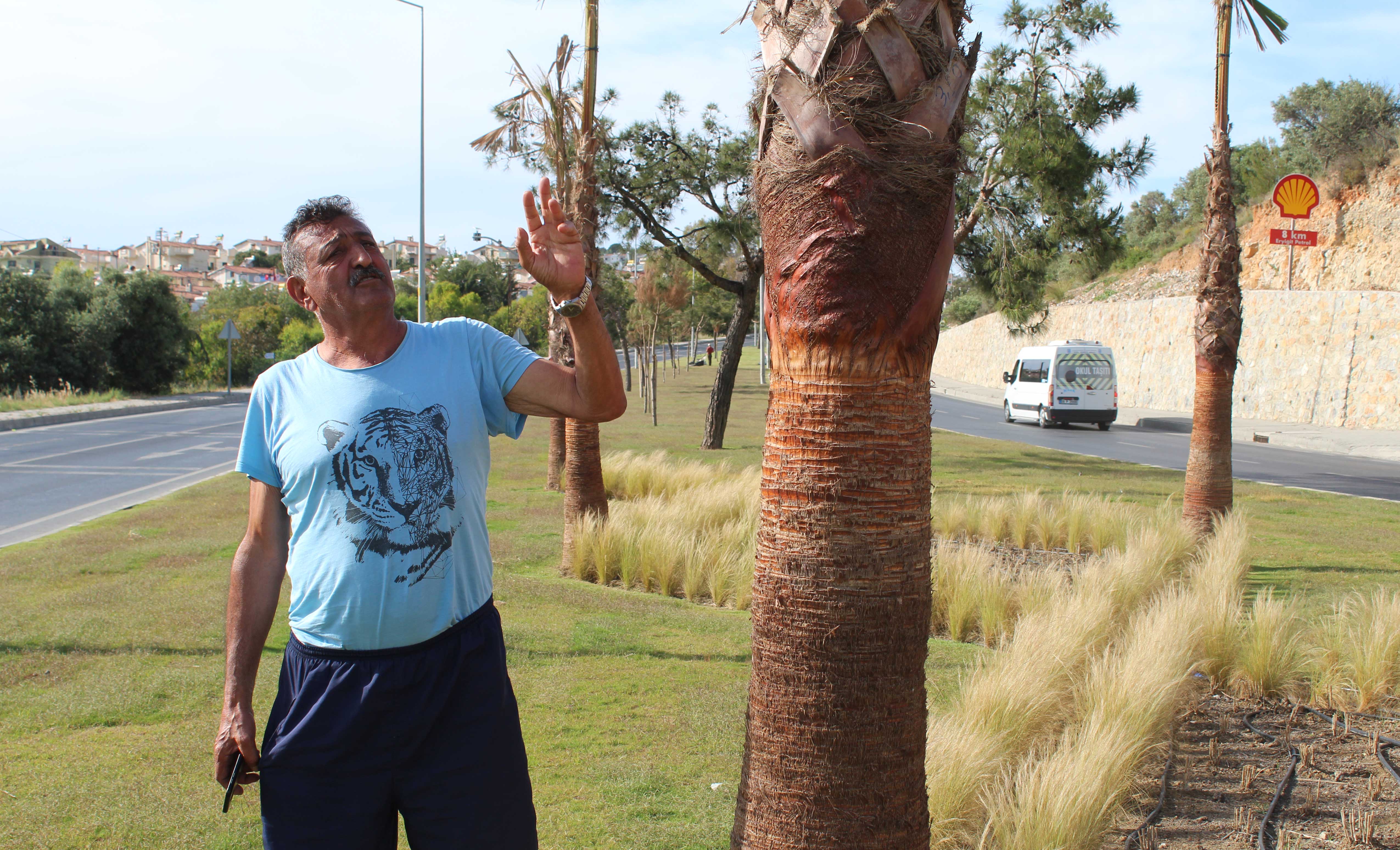 Dava resti, restle karşılık buldu!