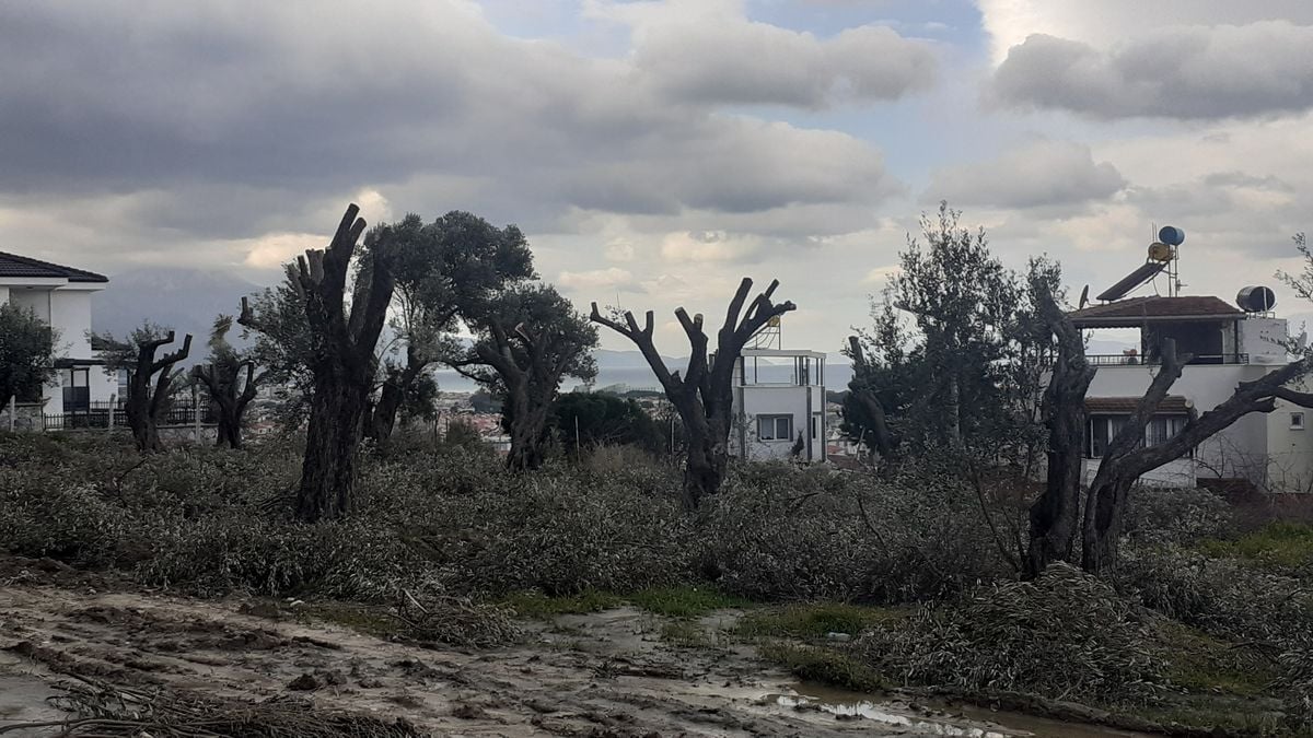 Beton aşkına asırlık anıt katledildi!