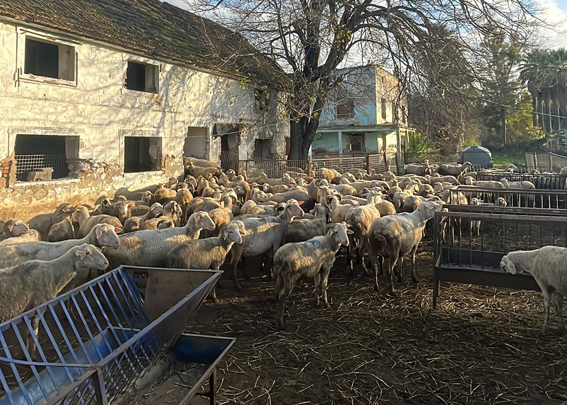 Tarih, böyle nankörlük görmedi!