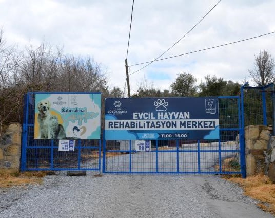 Barınak ziyaretlerine virüs yasağı geldi