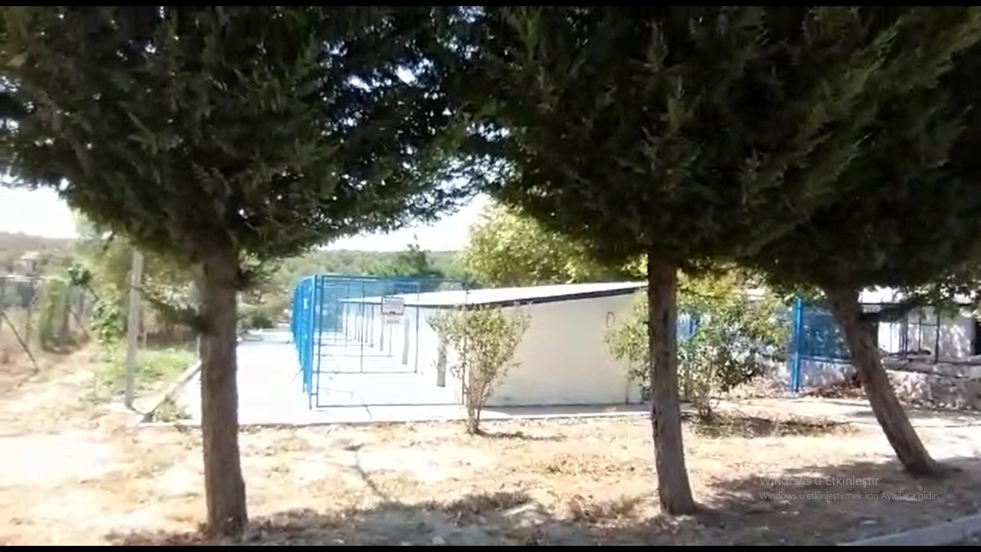Barınak krizi zirveye tırmanıyor!
