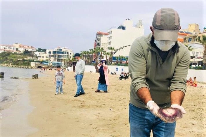 Sahilleri deniz anaları istila etti