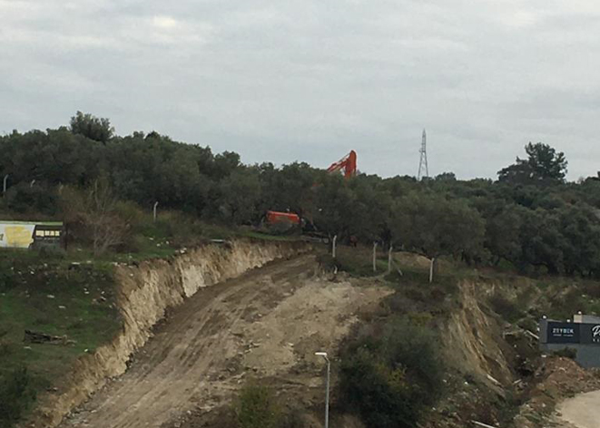 Durdurun artık bu kıyımı!