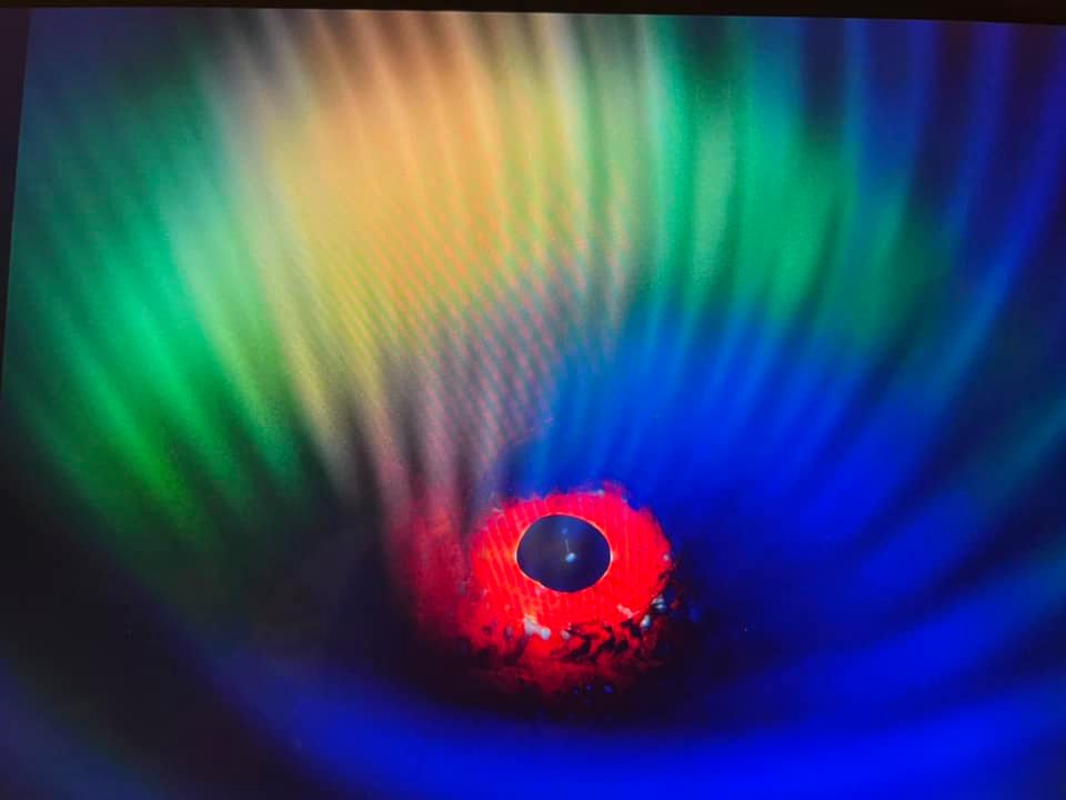 Kuşadası dünya şampiyonu çıkardı