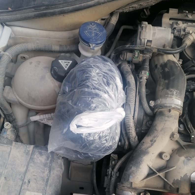 Herkes motoruna yağ koyar, bunlar da esrar!