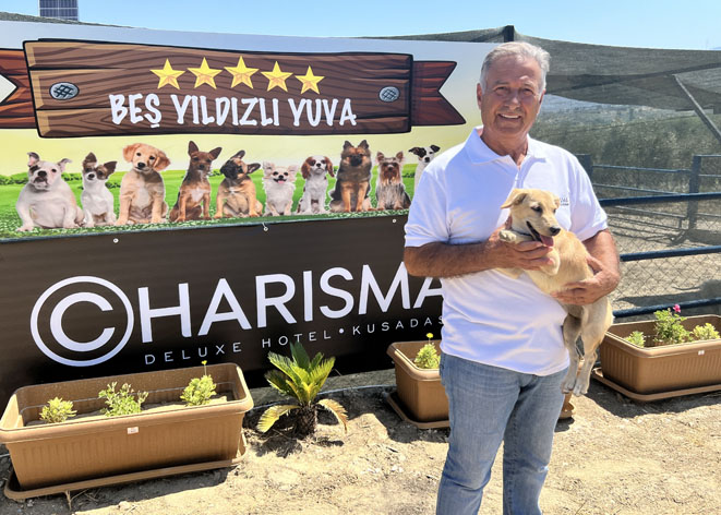 Sokak hayvanlarına “kurtuluş reçetesi!”