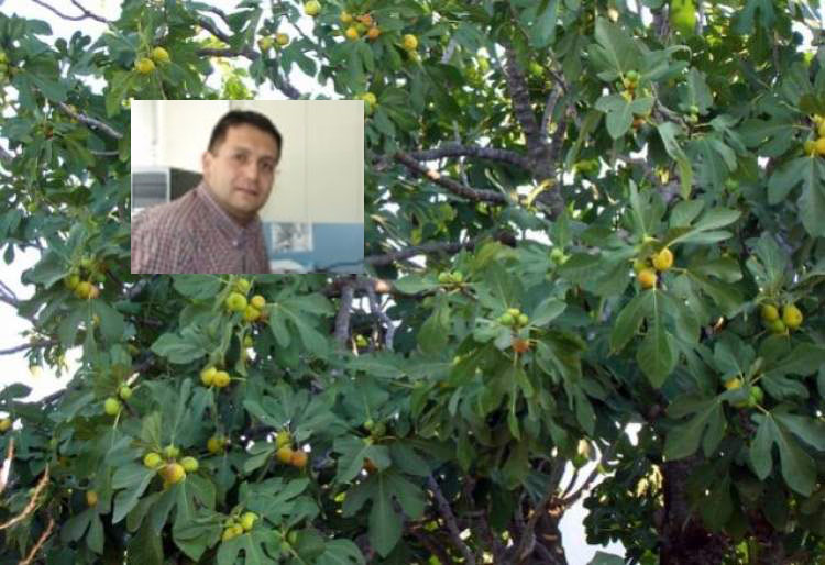 TSE mühendisi, emeklilik için aldığı  bahçede kurşun yağmuruna tutuldu