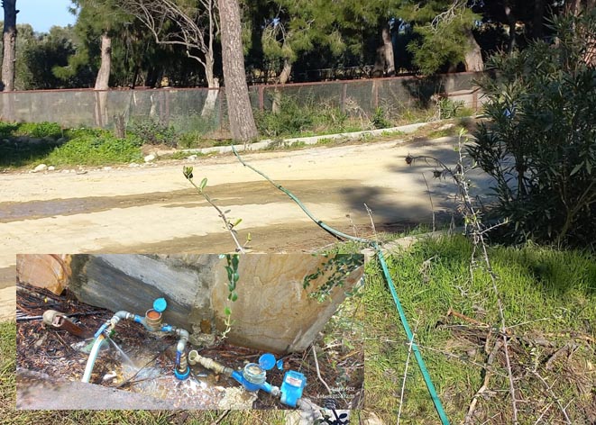 Sabık Başkan’ın kaçakları dudak uçuklattı!