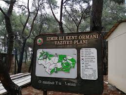 Ormanlara giriş yasağı başlıyor