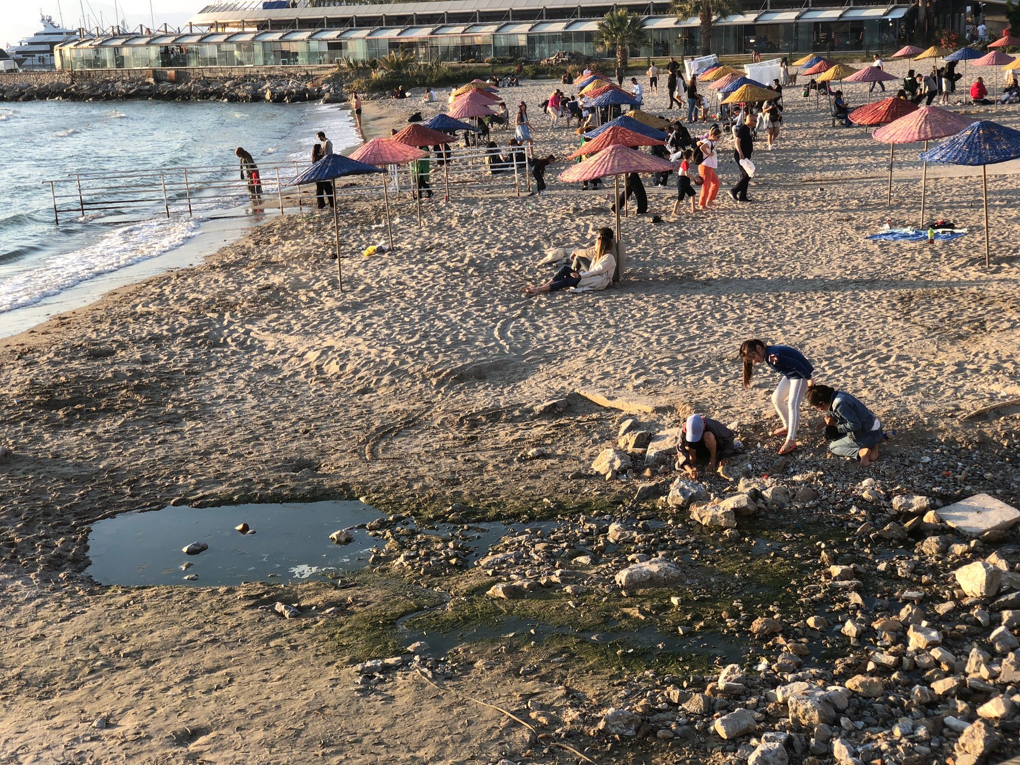 Kuşadası’nda sahipsizliğin resmi!