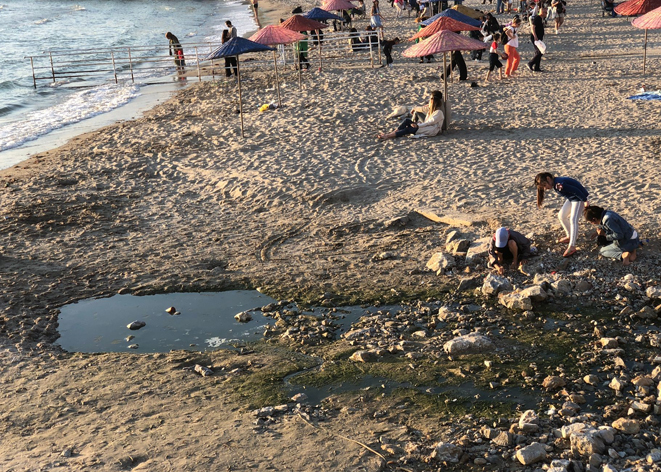 Musilaja altın yaldızlı davetiye!