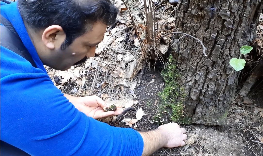 Milli Park’ta bilim dünyasını  heyecanlandıran keşif…