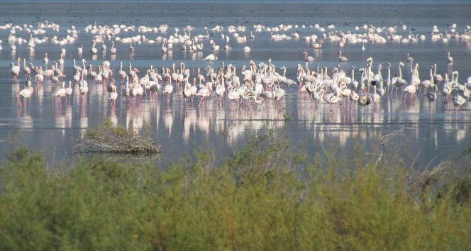 Yeryüzü cennetine insafsız tecavüz