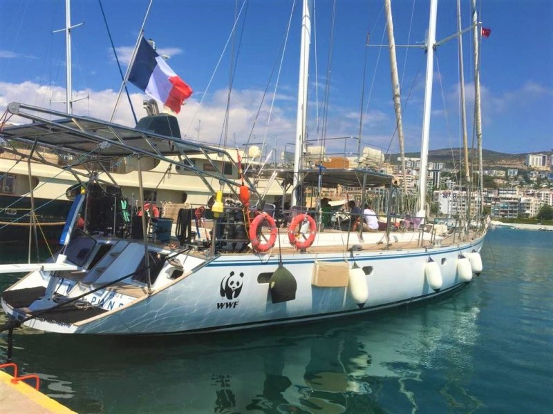 Çevreci Panda, Cennet’e yelken açtı