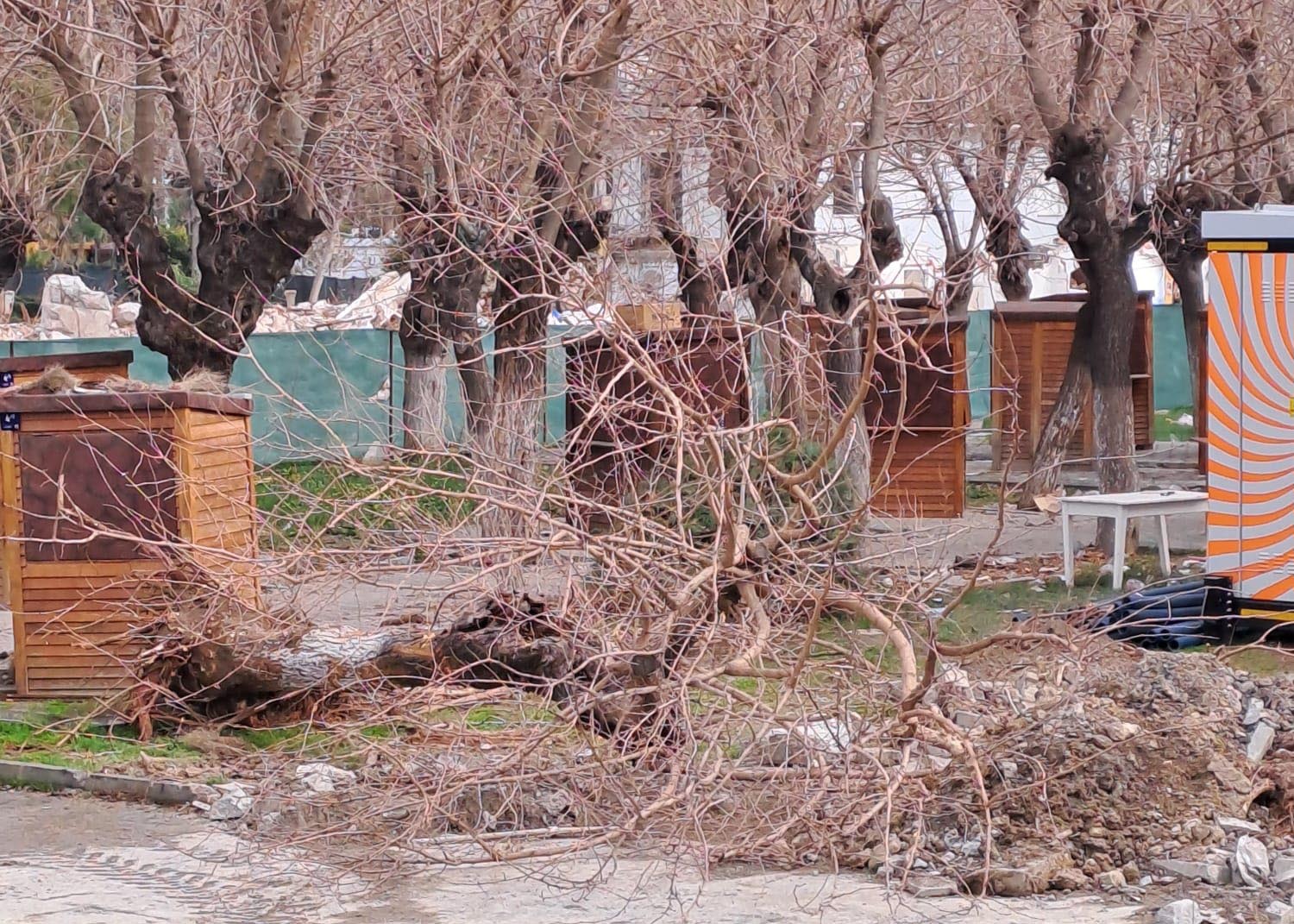Bunların işi-gücü doğayı katletmek!