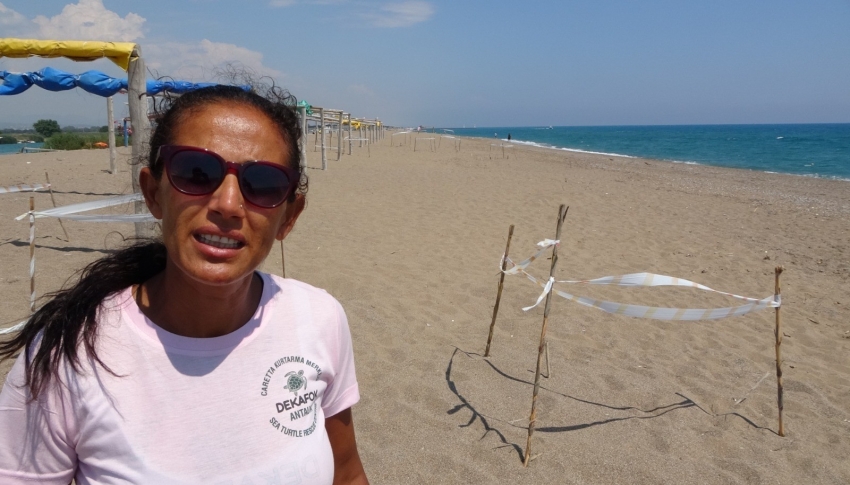 Caretta’ya eziyet edip marifetmiş gibi sosyal medyada paylaştılar