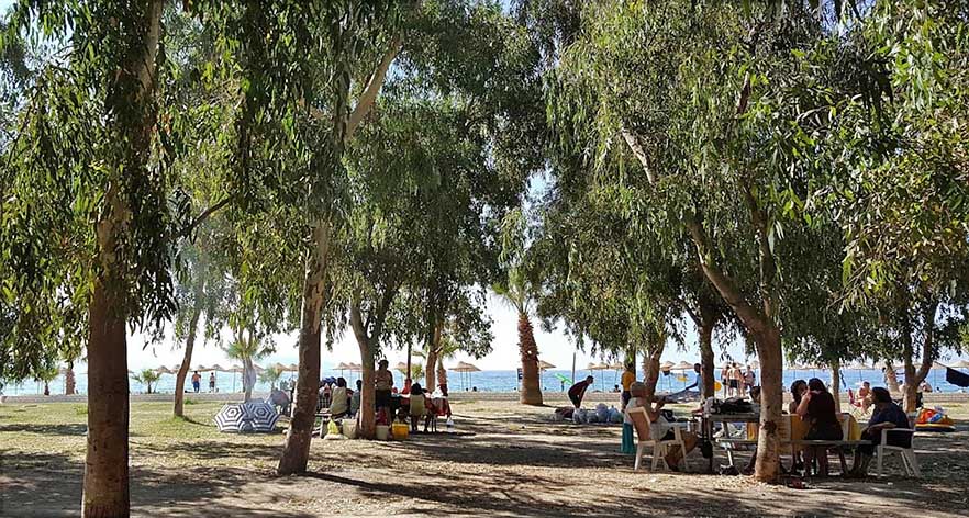 Sevgi Plajı ile Adagöl’de mangal ve semaver yakmak yasaklandı