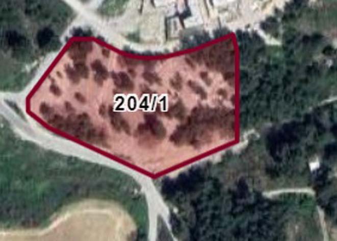 Tarih böyle bir talan görmedi!