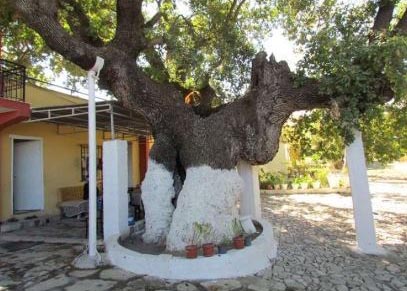 Kuşadası Tarihi’ne yeni pencere!