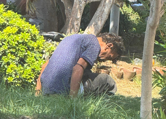 Kuşadası’nın içine ediyorlar!