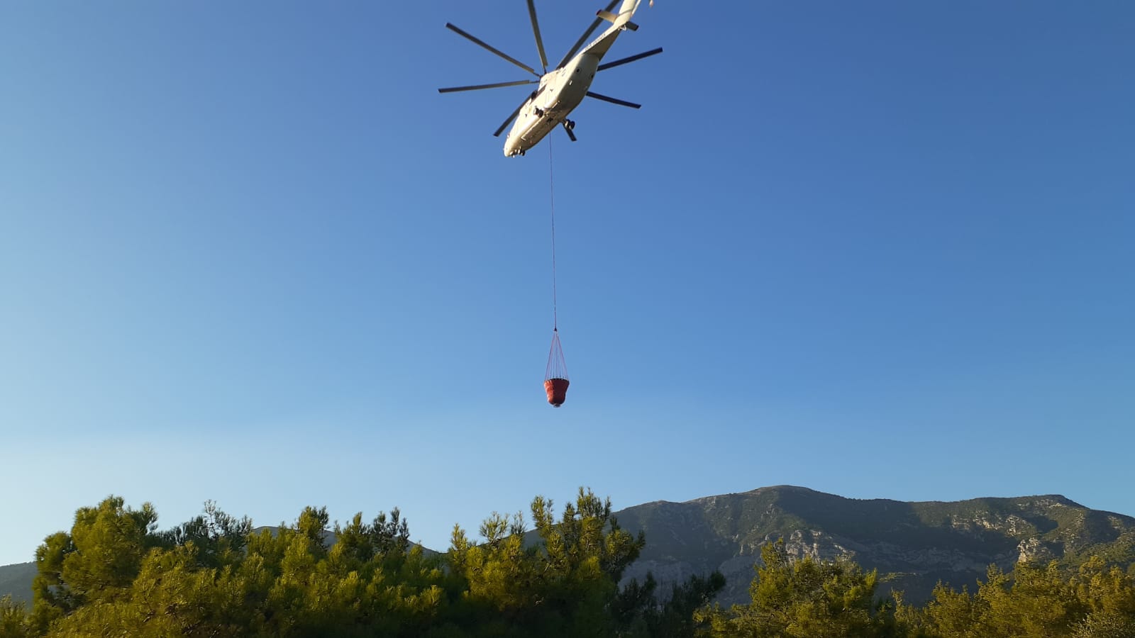 Milli Park sınırında büyük korku