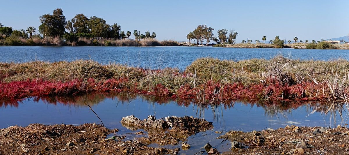 Kocagöl’e koruma kalkanı!